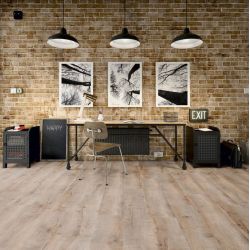 Oak Willow Grey F14  Πάτωμα Laminate Ter Hurne AC4 32 8mm 1101021706