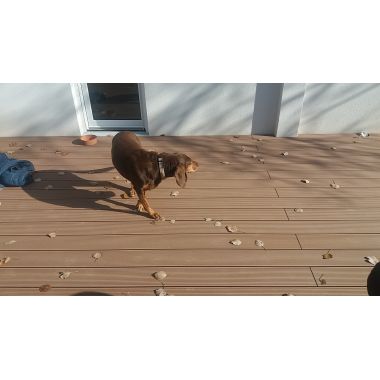 Συνθετικό deck πάτωμα εξωτερικού χώρου Chris deck wpc